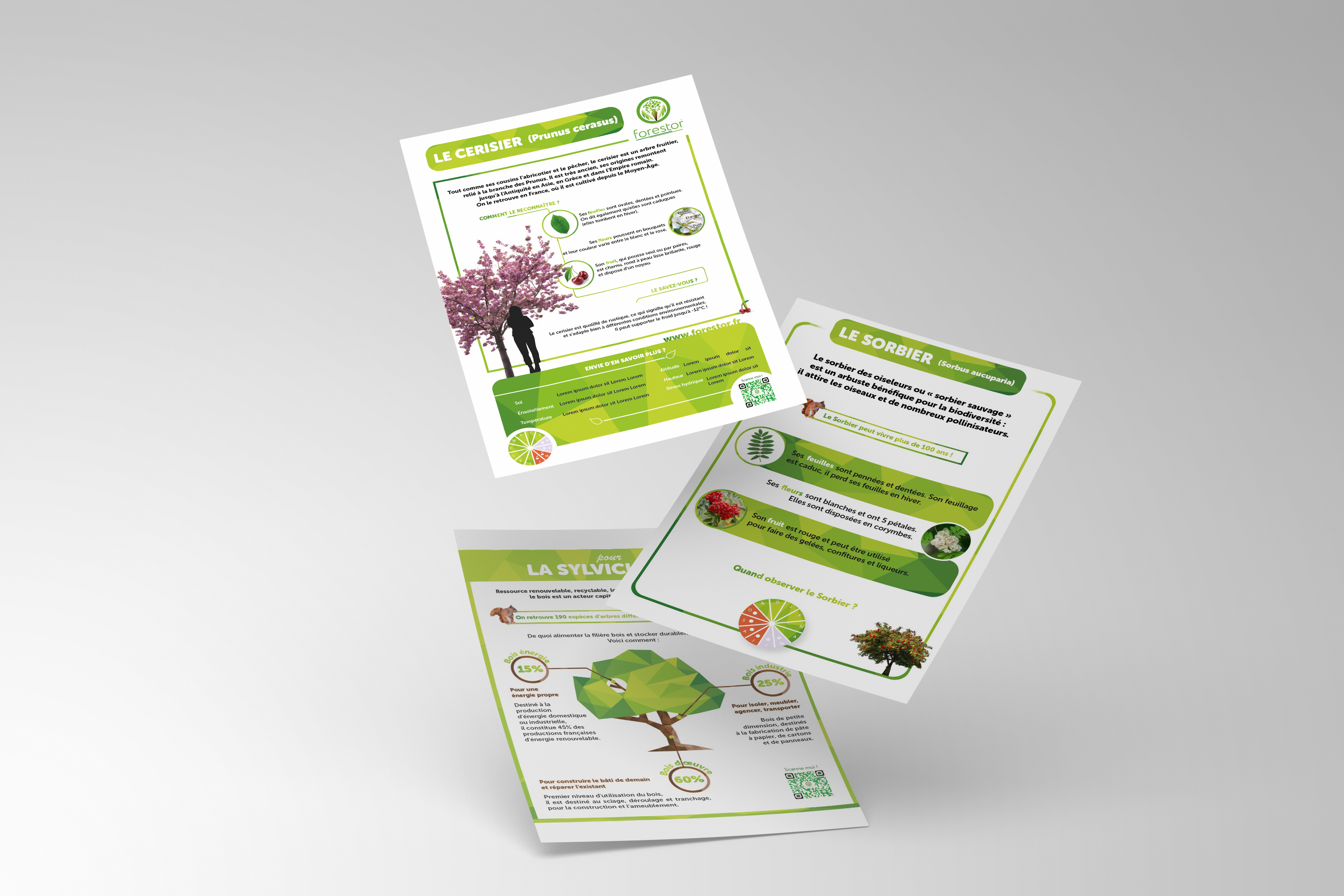 Fiches pédagogiques